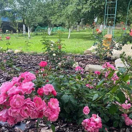 Rose & Raspberry Garden Vila *
